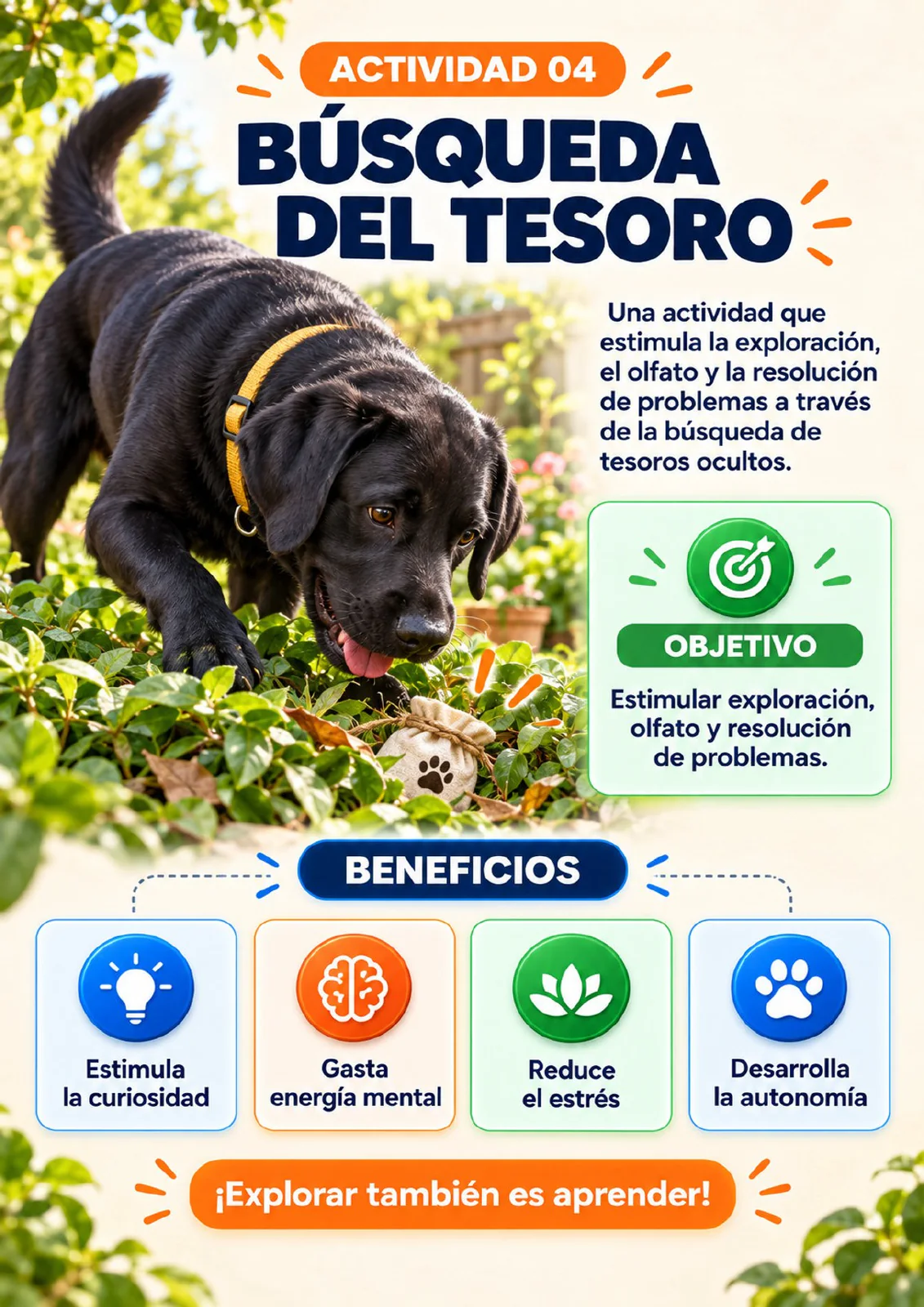 Actividad Búsqueda del tesoro