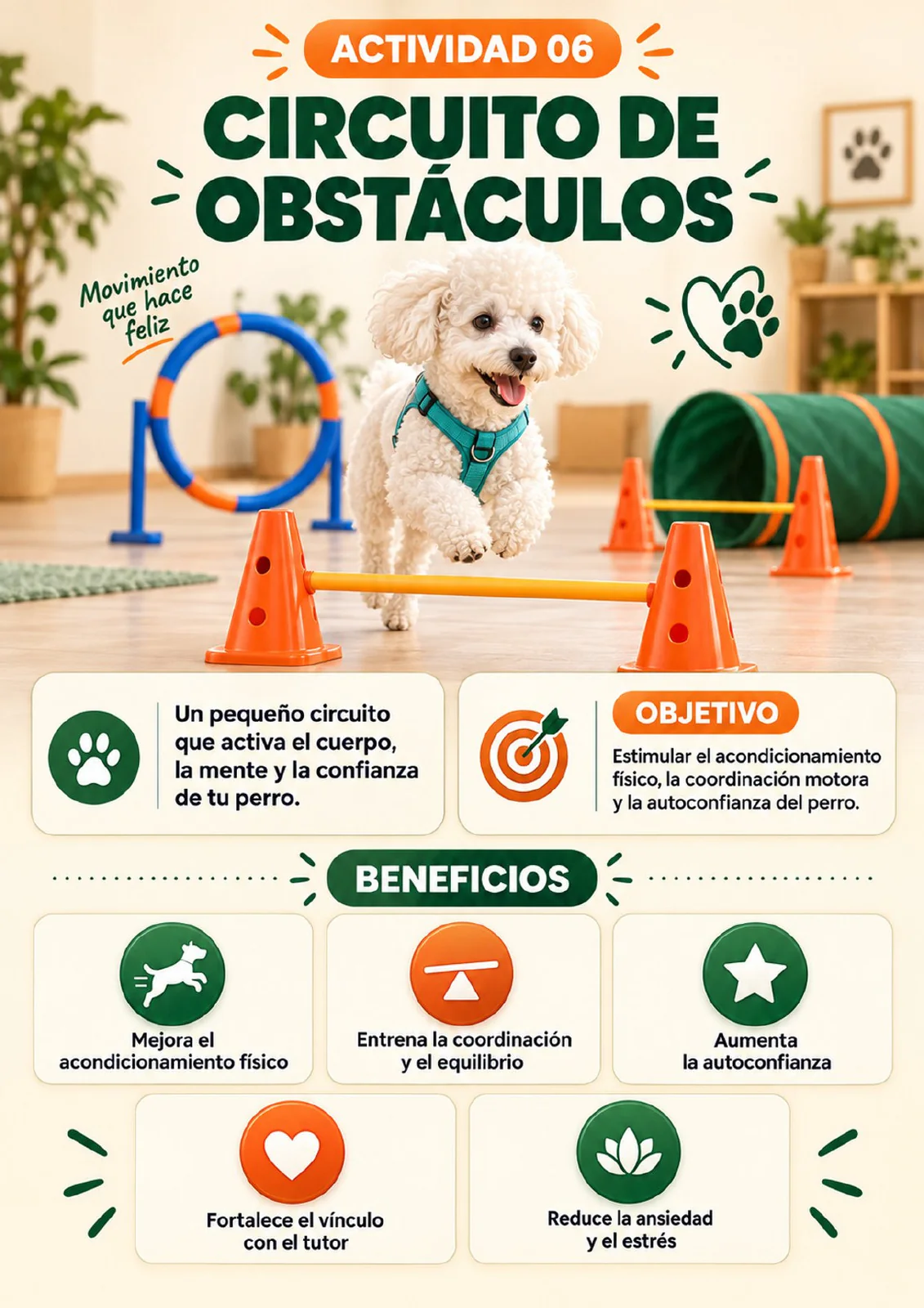 Actividad Circuito de obstáculos