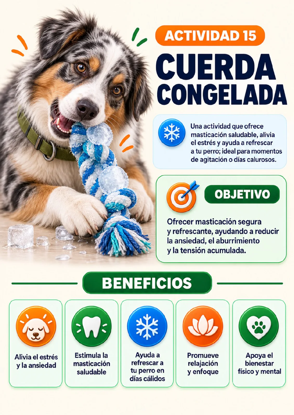 Actividad Cuerda congelada