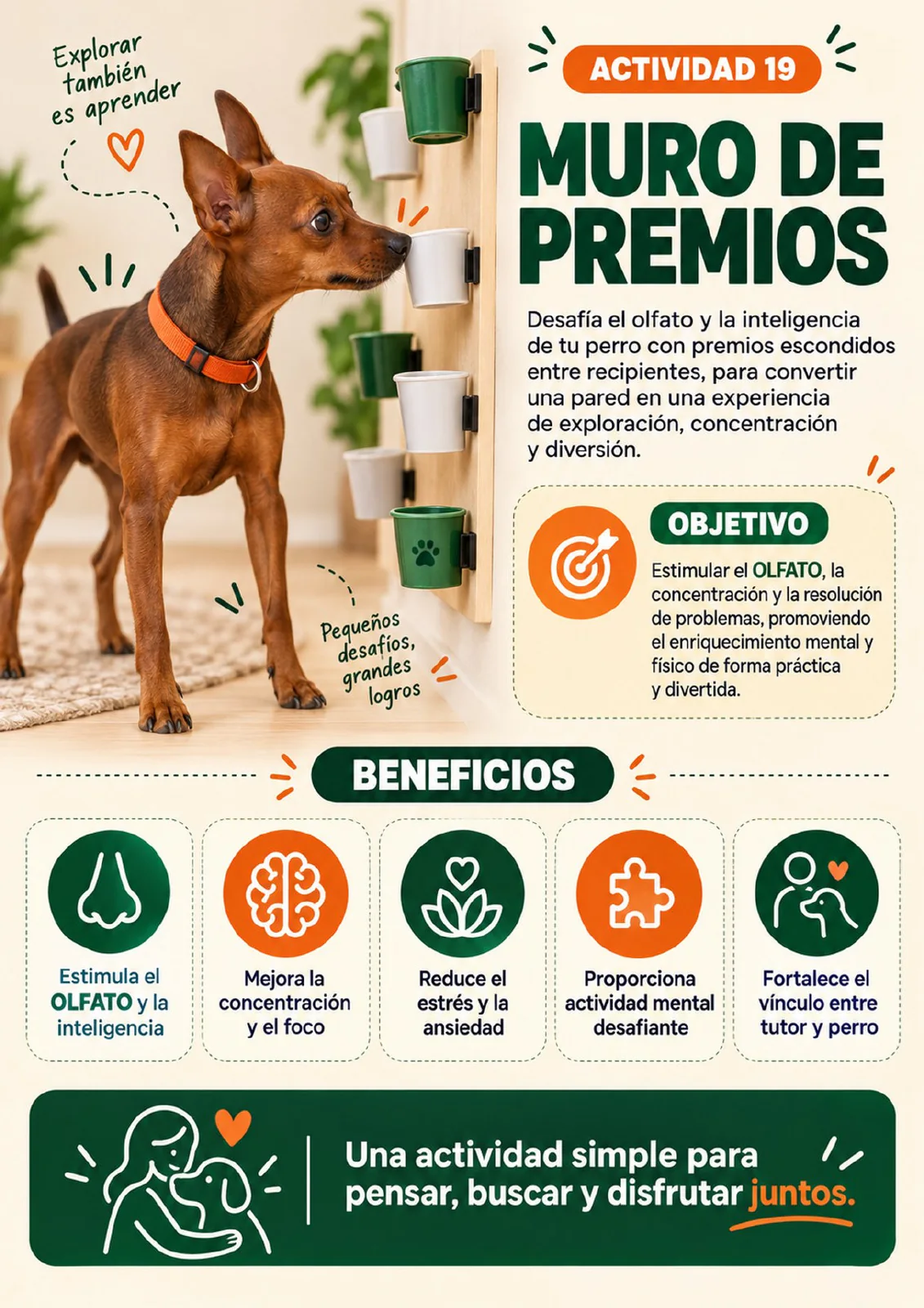 Actividad Muro de premios