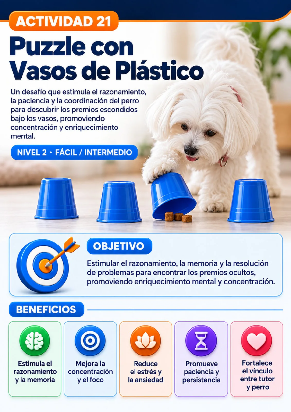 Actividad Puzzle con vasos de plástico
