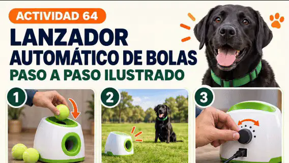 Actividad animada Lanzador automático de bolas