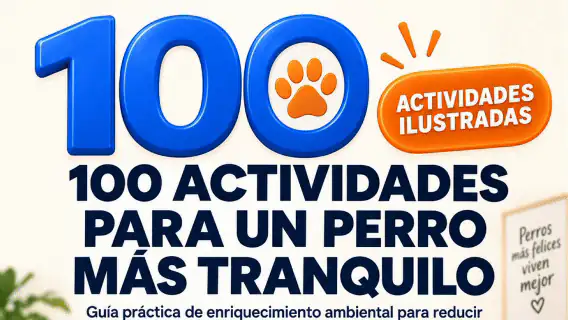 Vista animada de la guía 100 Actividades